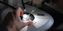 Zur Seite: Research at the Faculty of Sciences