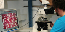 Zur Seite: Young Researchers