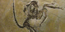 Zur Seite: Geosciences (MSc.)