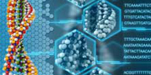 To the page:Integrated Life Sciences (BSc.)