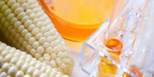 To the page:Food Chemistry (state exam)