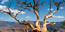 Zur Seite: Physical Geography: Climate and Environmental Sciences (MSc.)