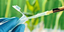 Zur Seite: Cell and Molecular Biology (MSc.)