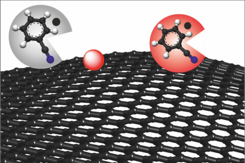 Chemical production of graphene, a single layer of carbon atoms. The solution benzonitrile (grey circle) removes the causes of possible defects and turns red, resulting in defect-free graphene (red circle). (Image: FAU/Philipp Vecera)
