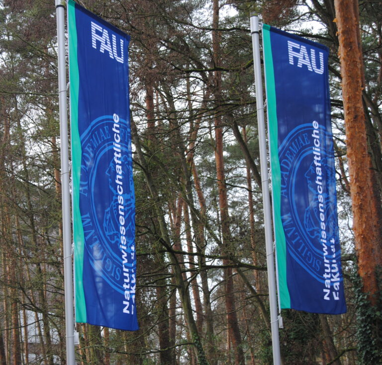 Introductory courses and welcoming events