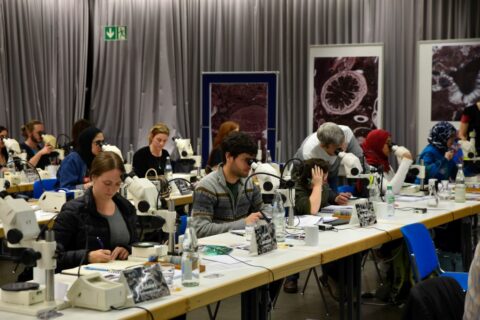 Participants microscoping. (Image: FAU/Christina Dworak)