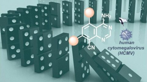 Domino effect in pharmaceutical synthesis (Image: Tsogoeva)