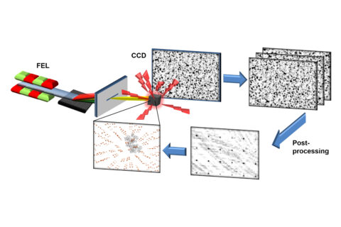 FAU physicists have developed a new technique for determining molecular structure (Image: Anton Classen)