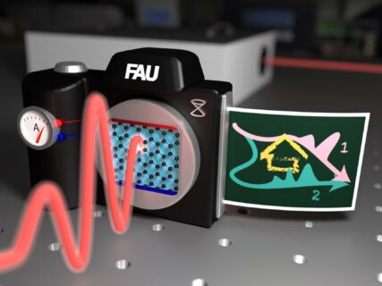 Schematic of the experiment for ultra-fast current generation: When the light wave (red) hits the graphene (honeycomb grid), an electronic current is generated instantly. By reading and analyzing this current, FAU researchers have found that quantum mechanical interference of electron waves can be used to control current on extremely short time scales. (Image: FAU / Takuya Higuchi)