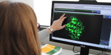 Zur Seite: Integrated Immunology (MSc.)