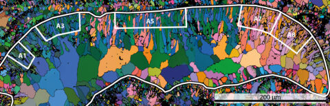 The image shows a thin section of a fossilised organism, which has not yet been able to be assigned to a particular species. FAU researchers have examined the samples using a method derived from materials science. The coloured fields are individual crystals, the colour shows their crystallographic orientation. (Image: https://www.frontiersin.org/articles/10.3389/feart.2018.00016/abstract)