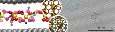 The left side shows an atomic configuration from the molecular dynamic simulation. The picture was taken by the group headed by Prof. Dr. Bernd Meyer. The right side shows an image taken by the transmission electron microscope by the group led by Prof. Dr. Ute Kaiser. (Image: FAU/Bernd Meyer; Universität Ulm/Ute Kaiser)