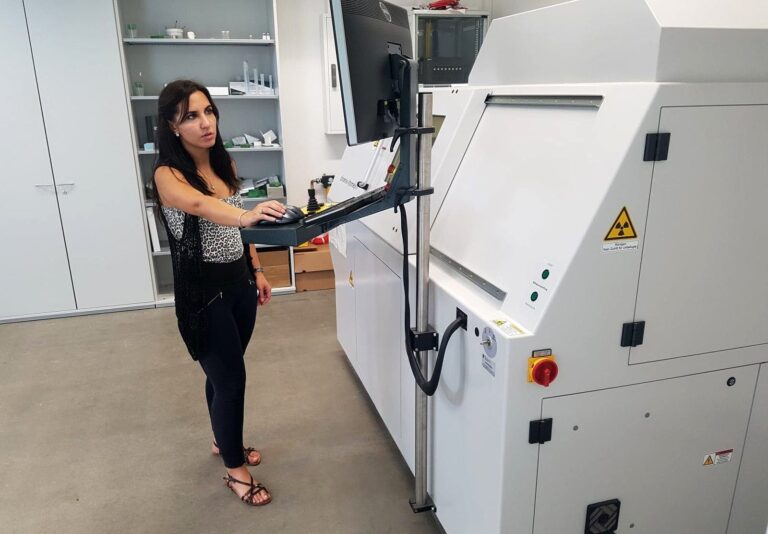 FAU palaeobiologists investigate shrinking fossilised cephalopods
