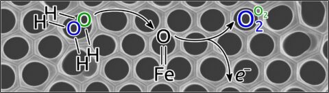 Towards entry "Greater sustainability thanks to improved isotope analysis"