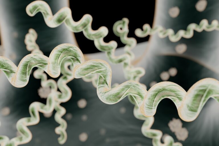 Why the immune system sometimes turns against the body