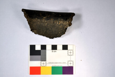 Shard from the rim of a vessel used for the investigation (Image: FAU/Simon Hammann)