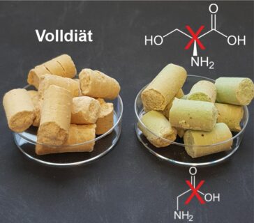 Illustration of protein and a chemical formula.