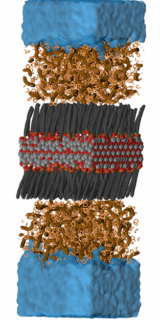 By means of molecular simulations we characterised the association of the nanoparticles and microplastics models to unravel the mechanisms of separating plastics from water. This leads to an in-depth understanding of the underlying principles of molecular recognition that inspires the design of nanoparticles with increasingly targeted functionality. (Image: Zahn Group/FAU)