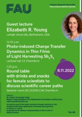 Poster guest lecture Nov 8th, 2023
